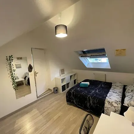 Maison 3 라발